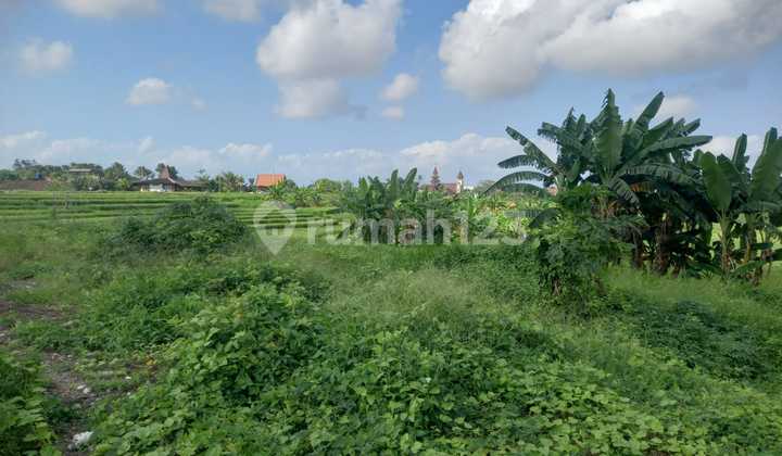 For Lease: Tourism Zone Plot of Land - Suitable for Villa / Business | Long-Term Contract Up to 45 Years
