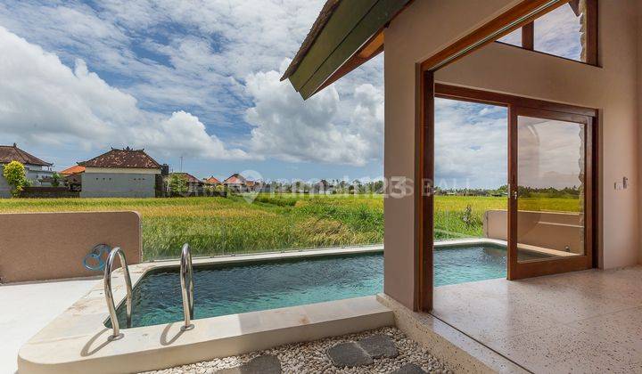 Timeless Beauty, Investing In 3 Villas With Japanese Design In Kedungu 3