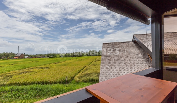 Timeless Beauty, Investing In 3 Villas With Japanese Design In Kedungu 36