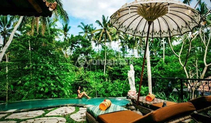 Freehold Jungle View Villa With Yoga Sala And Saltwater Infinity Pool In Ubud Bsvf136 1