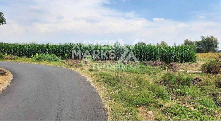 Dijual Tanah di Desa Martopuro Kec. Purwosari Pasuruan 1