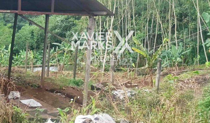 Dijual Lahan Peternakan di Cepokomulyo Kepanjen Kab Malang 1