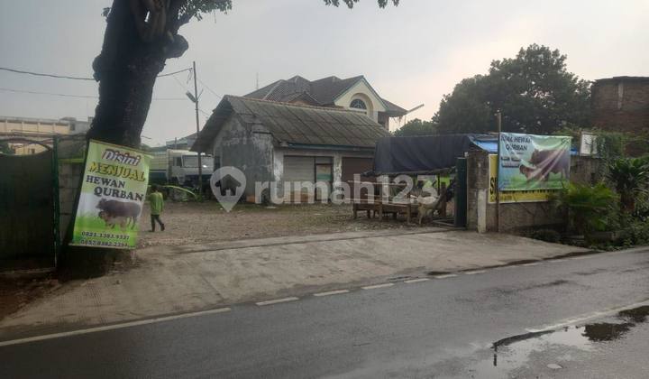 Bintara 5568 Bintara 5568