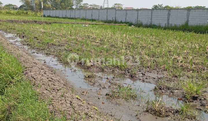 Dijual Tanah Prospek Perumahan/ Rukos Dijual Tanah Prospek Perumahan/ Rukos