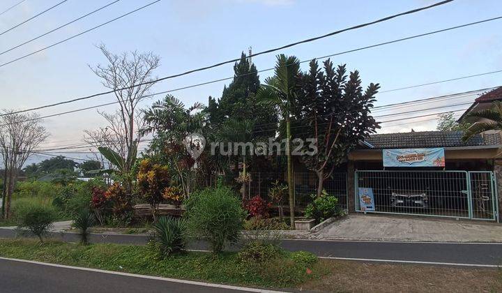 Tanah Posisi Hook Prospek Buat Usaha SHM 2