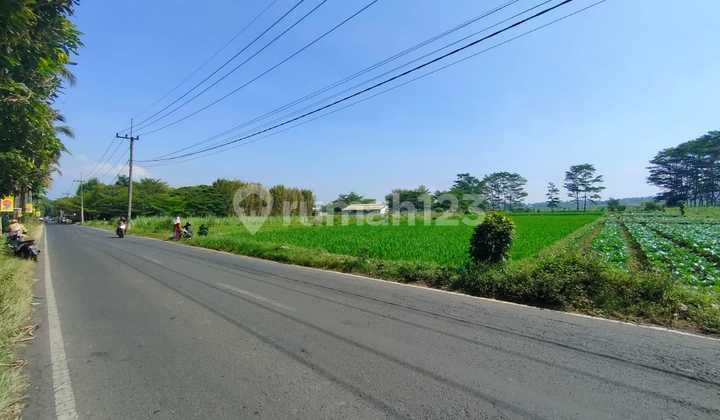 For sale, strategic land located on Tlogowaru main road.