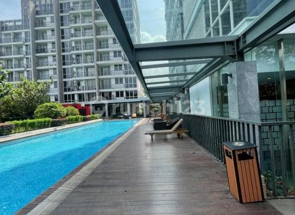 Apartemen Lexington Bintaro Jakarta Selatan Murahnya Kebangetan Apartemen Lexington Bintaro Jakarta Selatan Murahnya Kebangetan