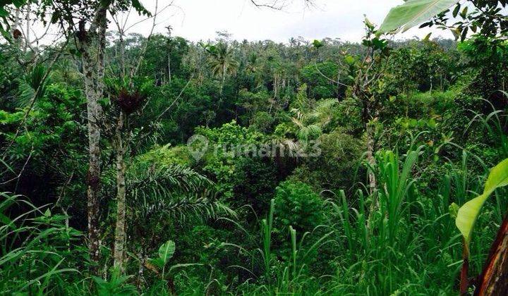 Dijual Tanah Luas View Sungai di Tegalalang Ubud Gianyar Bali 2