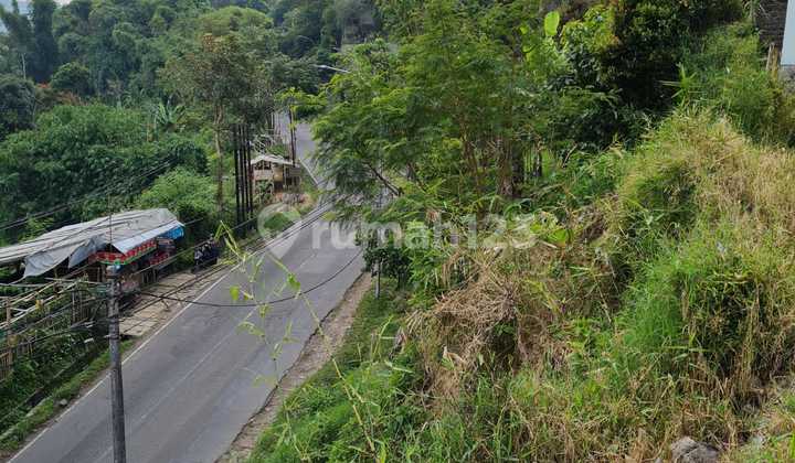 Tanah Murah di Area Wisata Lembang Kab Bandung Barat