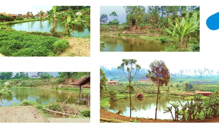 Tanah & Kolam Ikan di Desa Alam Endah Ciwidey - Kab. Bandung Tanah & Kolam Ikan di Desa Alam Endah Ciwidey - Kab. Bandung