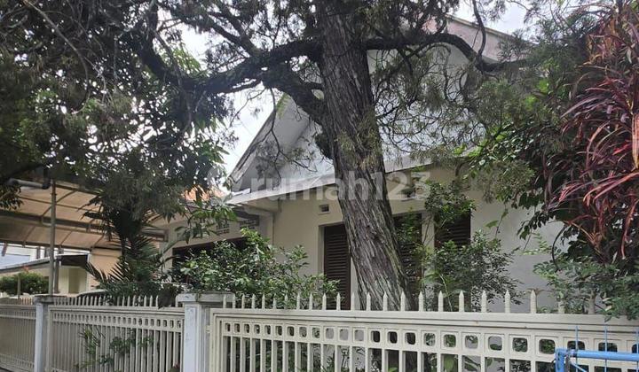 Rumah Asri Lokasi Strategis Pusat Kota Sayap Riau