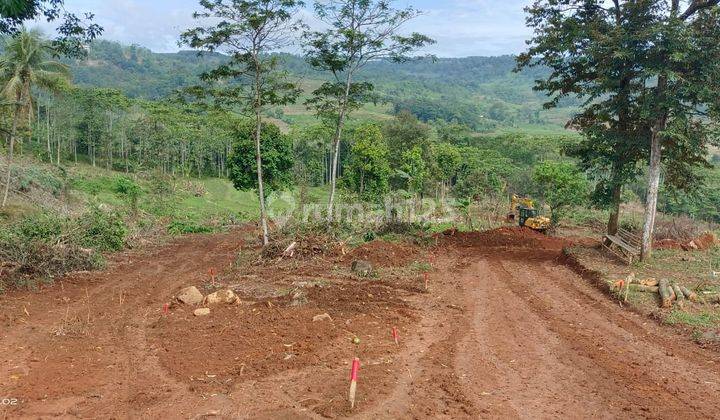 Tanah murah di lokasi AGROEDUWISATA Bogor Timur  5