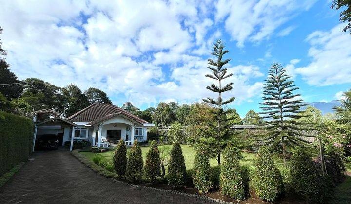 Gudang Dan Villa Luas Tanah 9070 M2 di Ciawi, Bogor. 11