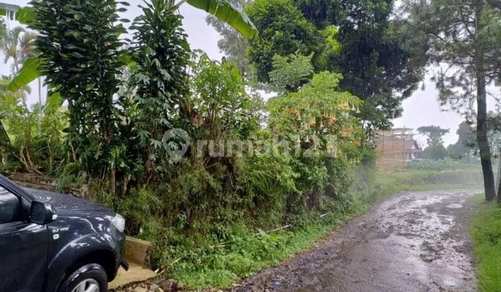 For Quick Sale Land located at Jln Barunagri, Sukajaya Village, Lembang Subdistrict, West Bandung Regency