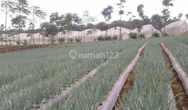 Dijual Tanah Kebun Di Banjaran Bandung 2