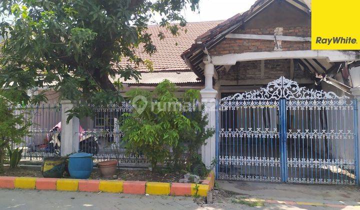 Dijual Rumah di Jalan Ikan Cumi Cumi Perak Surabaya 1