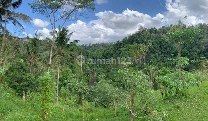 Tanah River View Lokasi Dekat Hotel Como Shambala Payangan Gianyar 1