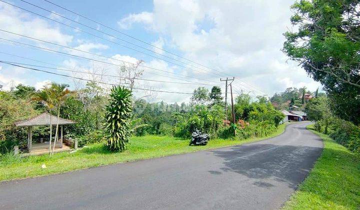 Tanah Cocok Dibuat Ruko di Jalan Utama Desa Pupuan Tabanan 1