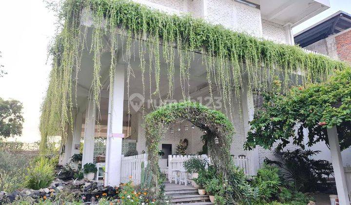 Rumah Tropical Murah Didalam Resort One Gate System di Sawangan Nusa Dua