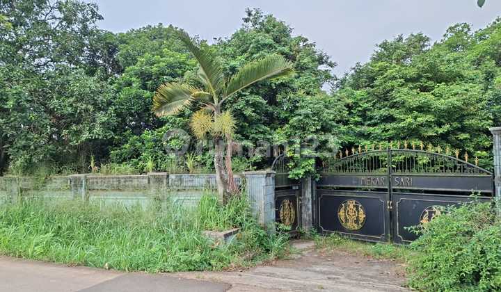 Dijual Sebidang Tanah Darat Shm Luasan 3.145 M² di Jl. Cileungsi - Ragemanunggal - Bogor, Mekarsari, Kec. Cileungsi, Kabupaten Bogor, Jawa Barat, Cileungsi