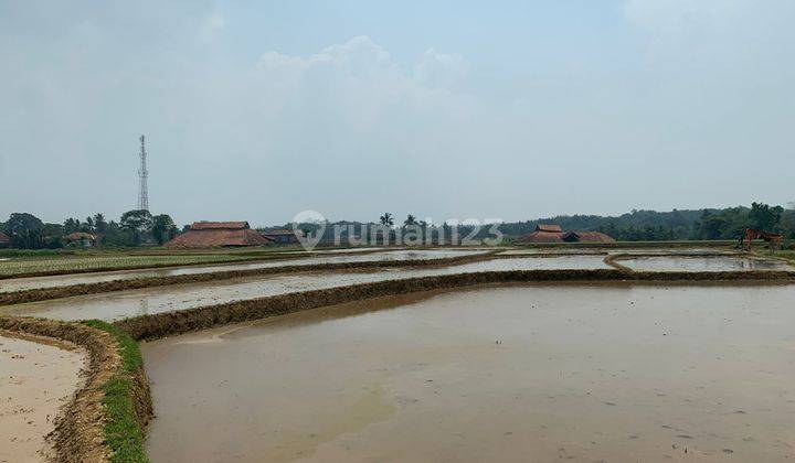 Dijual Sebidang Sawah di Desa Sukajadi, Cariu Jonggol SHM 2