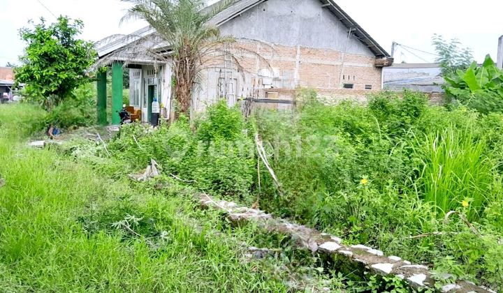 Dijual Tanah SHM di Sukajaya Cibitung Bekasi Jawa Barat Dijual Tanah SHM di Sukajaya Cibitung Bekasi Jawa Barat