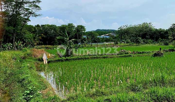 Flood-Free Land, SHM, in Klapanunggal, Cileungsi