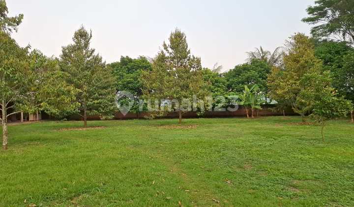 Dijual Cepat Tanah Bonus Bangunan di Mekarsari