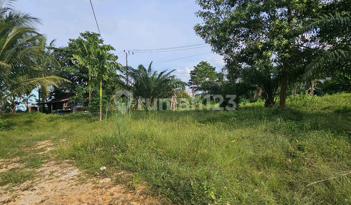Tanah Poros Utama Jalan Dekat Polda Kaltim Strategis 2.8Ha