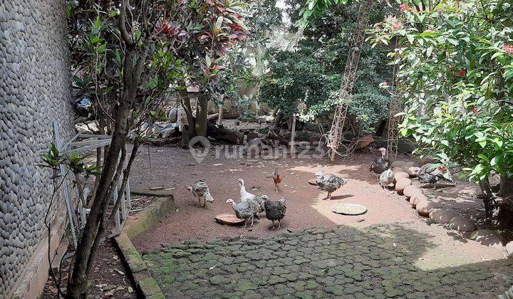 Rumah Asli Di Cipaganti Setiabudi Bandung Di Kawasan Komersil  2