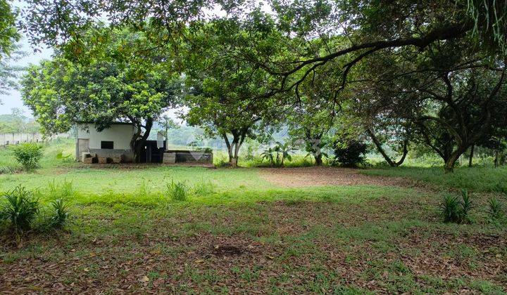 Tanah Lahan Strategis 11.990m² Dekat Pemda Cibinong Bogor