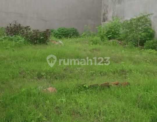 For sale. Land inside a housing complex in Duren Tiga, South Jakarta, very cheap negotiable. SHM certificate available. Contact 081932269374. For sale. Land inside a housing complex in Duren Tiga, South Jakarta, very cheap negotiable. SHM certificate available. Contact 081932269374.