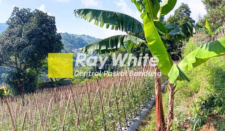 Jual Tanah Kebun di Desa Mekarwangi Bandung 2