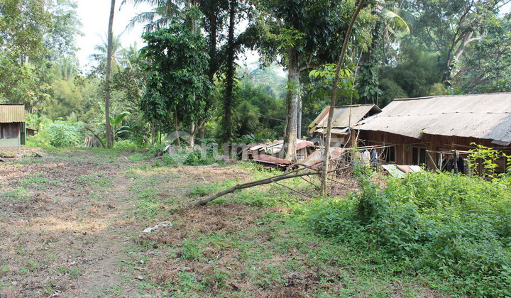 di Serang, Serang Lahan 3 Hektar Siap Bangun. di Serang, Serang Lahan 3 Hektar Siap Bangun.