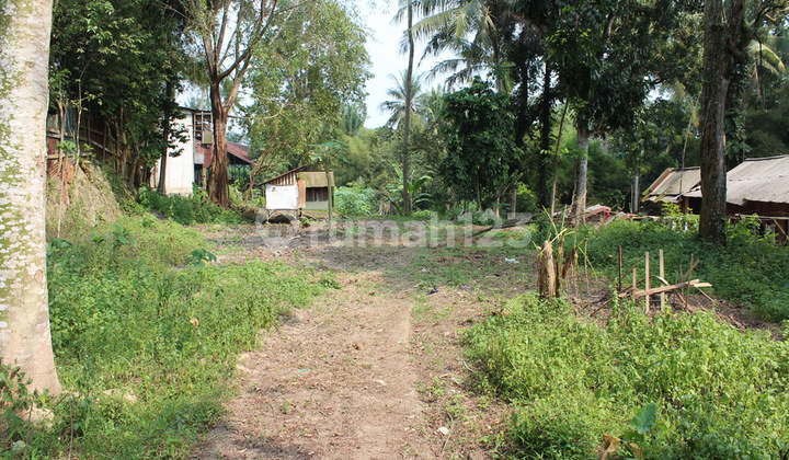 3 Hectares of Land Can Be Developed for Business Space, Strategic Location 6 Minutes from Serang City 3 Hectares of Land Can Be Developed for Business Space, Strategic Location 6 Minutes from Serang City