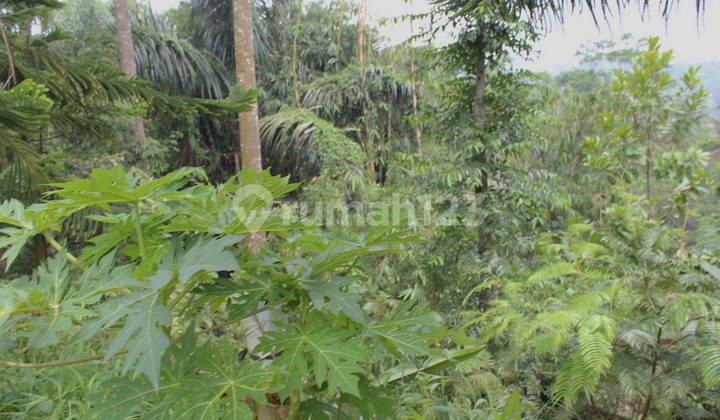 Ruang Usaha Siap Pakai / Redesign - Darangdan ( Purwakarta ) - bangunan hall 420 m2 dan tempat tinggal 130 m2 - pompa air deepwell 80 mtr - bisa pelbagai ruang usaha kering. Ruang Usaha Siap Pakai / Redesign - Darangdan ( Purwakarta ) - bangunan hall 420 m2 dan tempat tinggal 130 m2 - pompa air deepwell 80 mtr - bisa pelbagai ruang usaha kering.