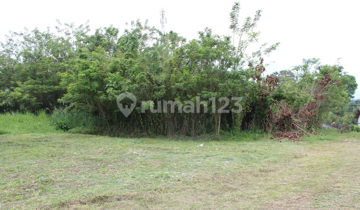 Golden Opportunity for Philanthropic Investors, 2-hectare land - Cibadak Sukabumi, can be an ideal location for an Elderly Home or a Quality Islamic Boarding School with a cool and comfortable environment, especially with the new toll road from Jakarta providing direct access to Cibadak Sukabumi. 2