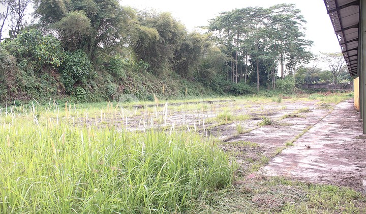 Ruang Usaha Perkebunan utk Export , Lahan 2 hektar - Cibadak Sukabumi - 1 hektar tertanam Pohon Vanili ( Export ) sisanya 1 hektar bisa ditanami Bunga Hias Potong ( Utk Export ) - Kesempatan Jarang Ada untuk Investor Perkebunan Khusus Export. Ruang Usaha Perkebunan utk Export , Lahan 2 hektar - Cibadak Sukabumi - 1 hektar tertanam Pohon Vanili ( Export ) sisanya 1 hektar bisa ditanami Bunga Hias Potong ( Utk Export ) - Kesempatan Jarang Ada untuk Investor Perkebunan Khusus Export.