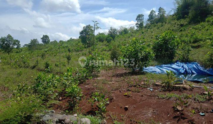 Tanah di Sekitar Desa Bilalang, Manuju Gowa
, Gowa 4