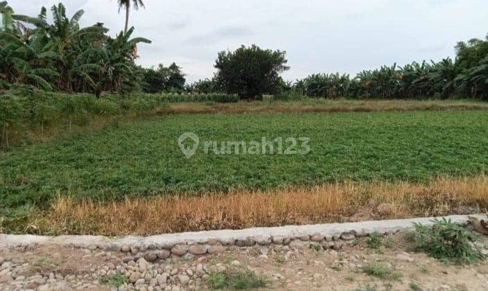Tanah di Sekitar Desa Kampili Gowa
, Gowa 1