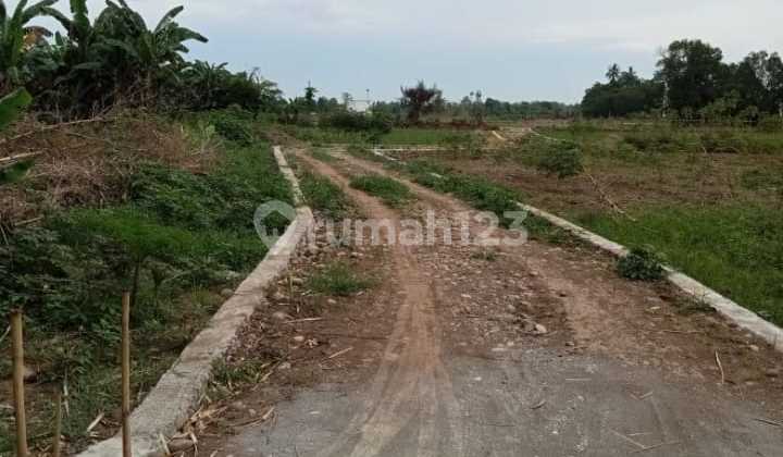 Tanah di Sekitar Desa Kampili Gowa
, Gowa 4