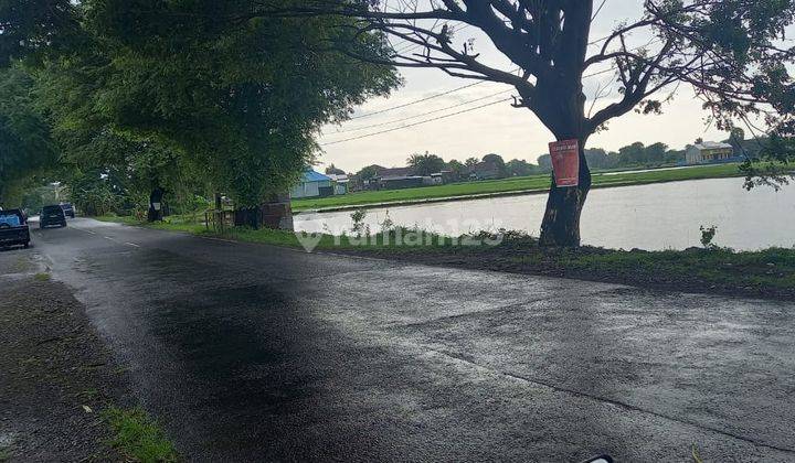 Tanah di Makassar Sekitar Poros Jalan Makassar Takalar, Takalar 2