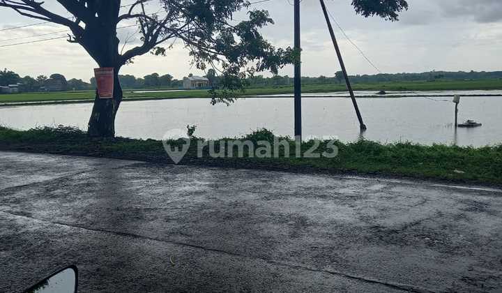 Tanah di Makassar Sekitar Poros Jalan Makassar Takalar, Takalar 3