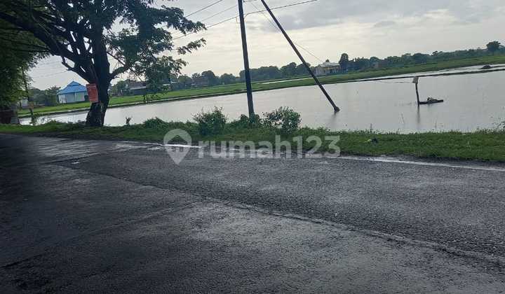 Tanah di Makassar Sekitar Poros Jalan Makassar Takalar, Takalar 7