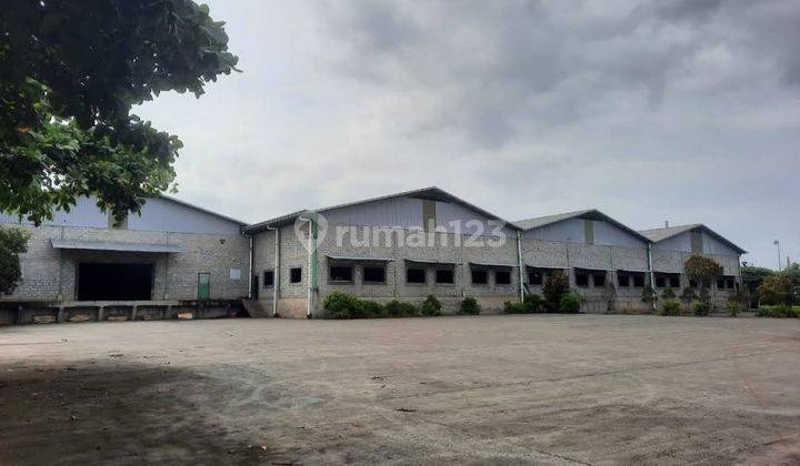Pabrik Pengolahan Kayu Di Batang, Gringsing 1