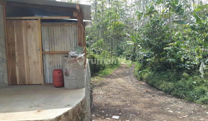 Dijual tanah dan kandang ayam di temanggung 2