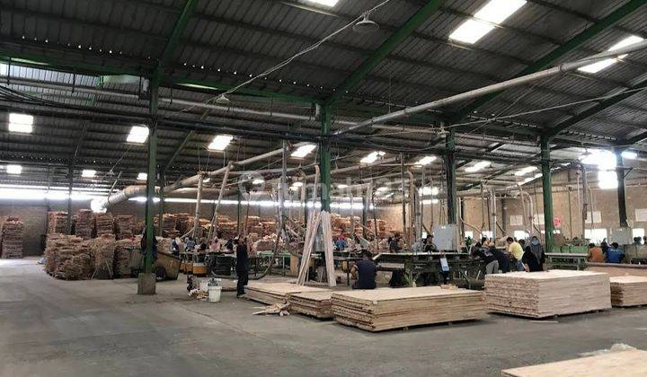 Pabrik Pengolahan Kayu Di Batang, Gringsing 2