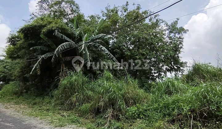 Tanah Bagus Datar di Daerah Gajahmungkur 2