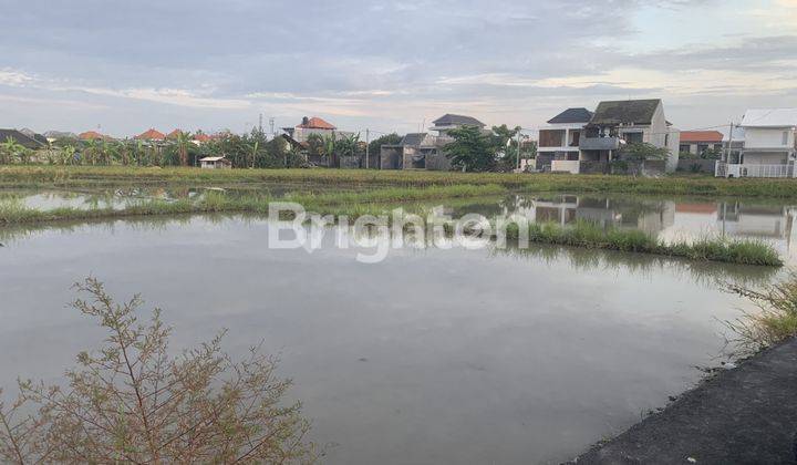14 ARE TANAH SAWAH DI SANUR BISA BELI PER 2 ARE 1
