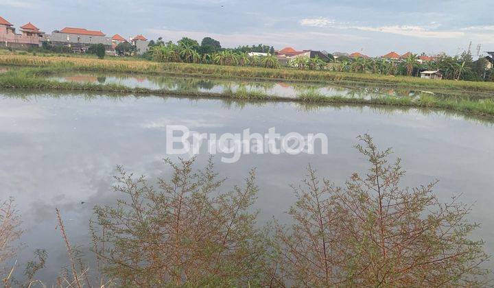14 ARE TANAH SAWAH DI SANUR BISA BELI PER 2 ARE 2